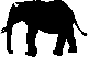 elephant and its brain