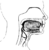 mouth
